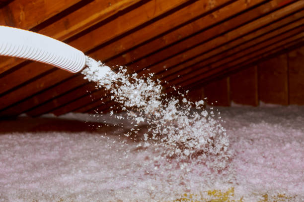 Best Professional Insulation Contractor  in Avoca, PA