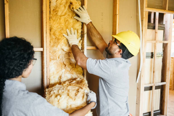 Best Insulation Repair Services  in Avoca, PA