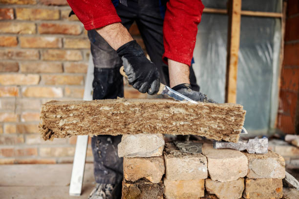 Best Insulation Removal  in Avoca, PA