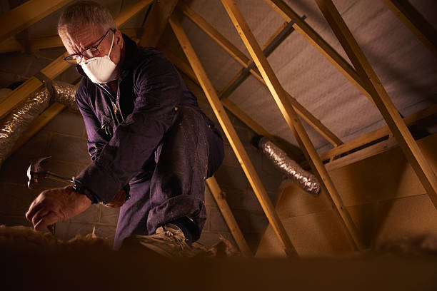 Best Best Insulation Companies  in Avoca, PA